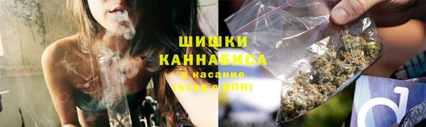 бошки Алексин