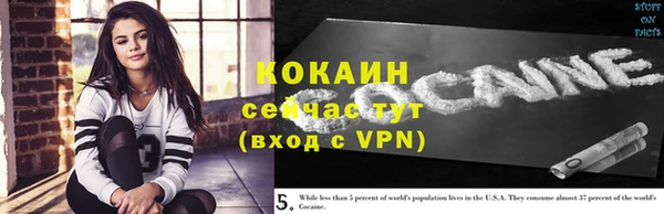 твердый Алексеевка
