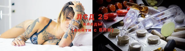 бошки Алексин
