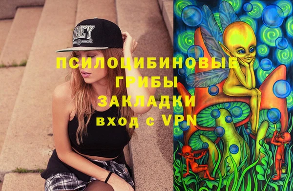 твердый Алексеевка